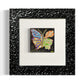 BUTTERFLY EFFECT 1/1 POSTCARD